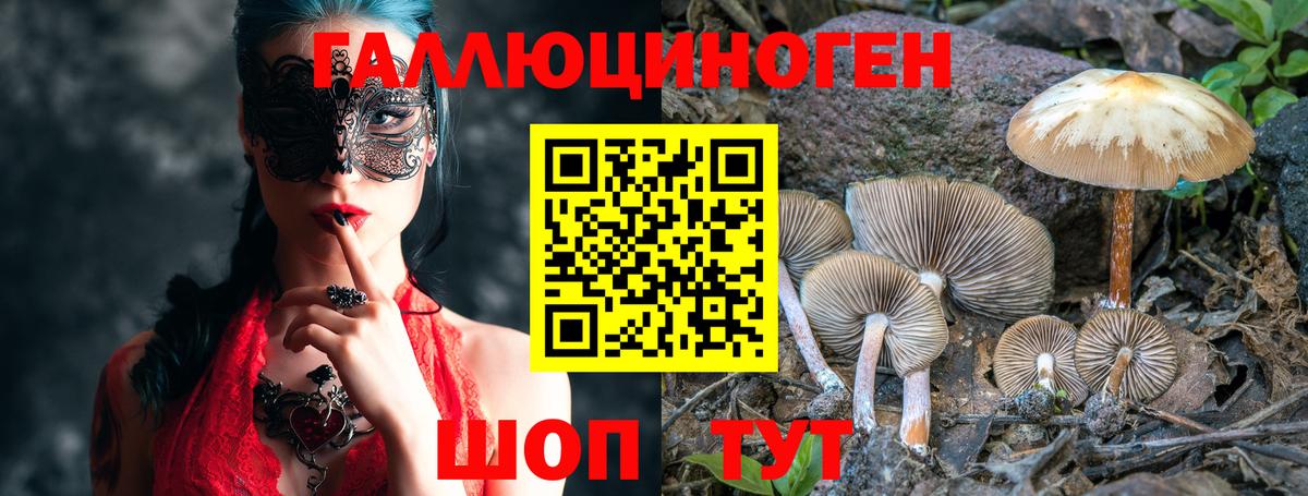 наркота  Вход с VPN  Мелеуз  Галлюциногенные грибы Psilocybine cubensis 