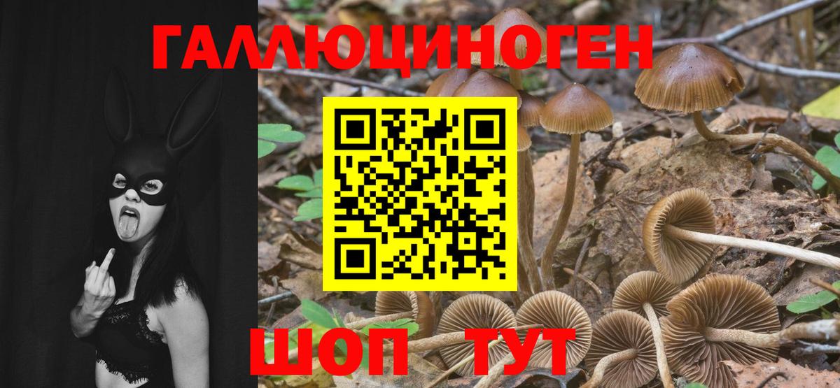 Галлюциногенные грибы ЛСД Мелеуз